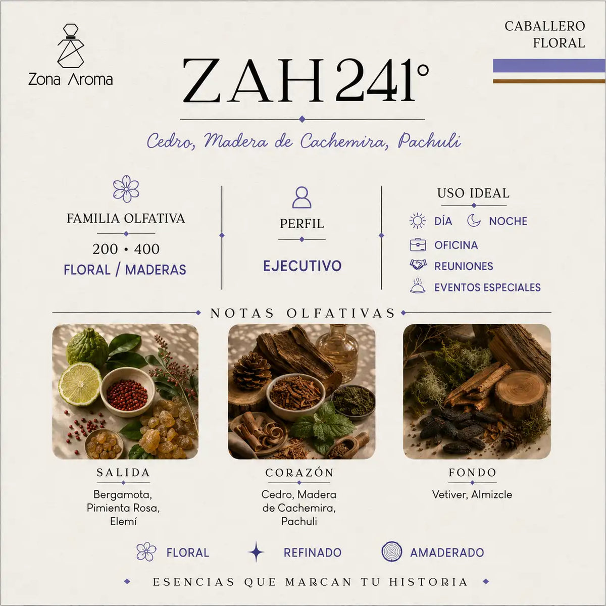 ZAH 241